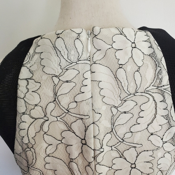 Belle Badgley Mischka Black & White Lace Mesh Dress - Picture 7 of 10